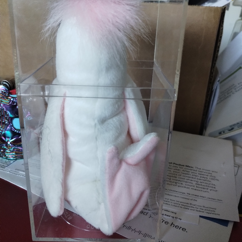 Kuku - Picture 3 of 4